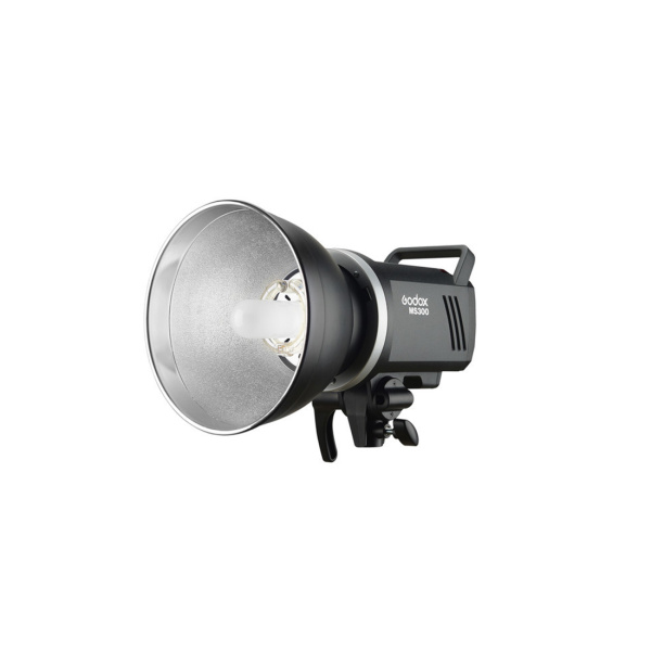 Комплект студийного оборудования Godox MS300-D